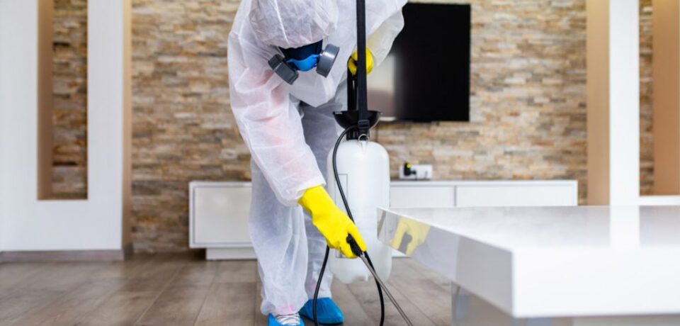 فريق مؤسسة كم النظافة يقوم برش مبيدات آمنة وفعالة لمكافحة الحشرات والقوارض في المنازل والفلل بالرياض